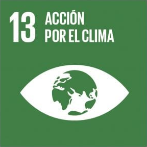 Un menor consumo de productos pecuarios puede contribuir al ODS 13 debido a las emisiones de gases de efecto invernadero causadas en su producción.