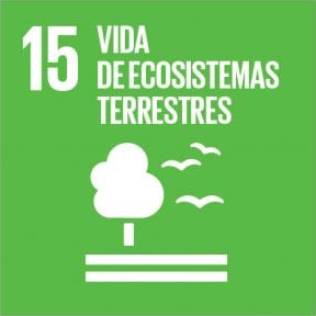 La carne que consumes y la cantidad de cultivos producidos para la alimentación del ganado tienen un impacto en el ODS 15 relativo al uso de la tierra, la protección y el uso sostenible de los ecosistemas terrestres.