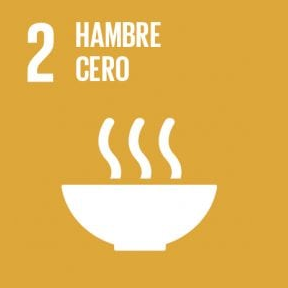 La comida que consumes está vinculada al ODS 2, relacionado con la nutrición, la lucha contra el hambre y agricultura sostenible.